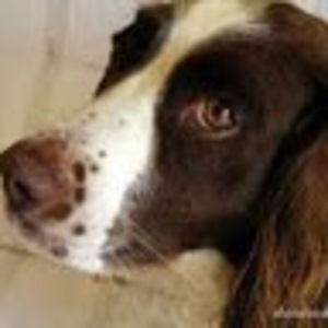 Meet your Posher, Tessa